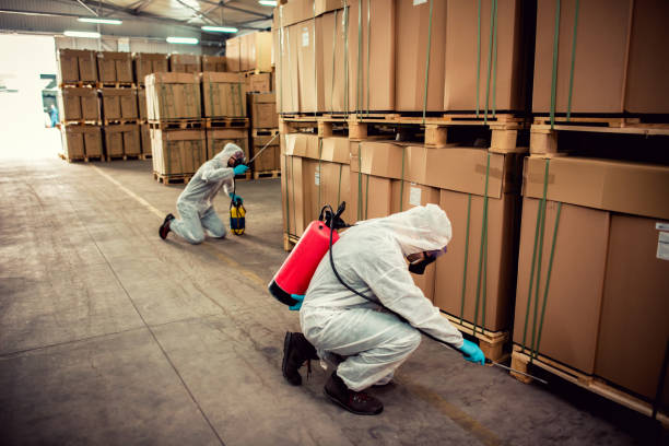 Best Ant Control Services  in Bunkie, LA