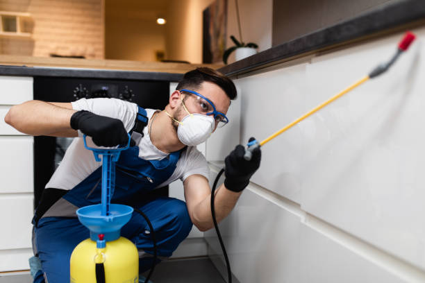 Best Pest Inspection Near Me  in Bunkie, LA