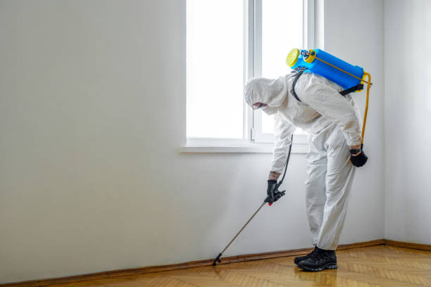 Best Affordable Pest Control Services  in Bunkie, LA