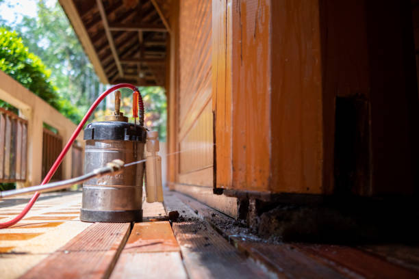 Best Pest Control for Restaurants  in Bunkie, LA