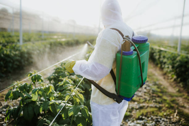 Best Termite Control Services  in Bunkie, LA